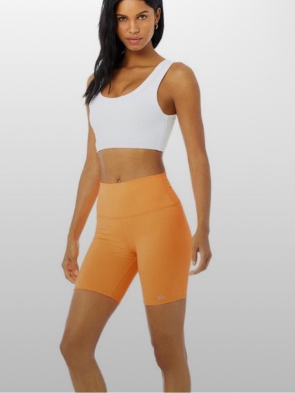 Alo Yoga High Waist Biker Shorts